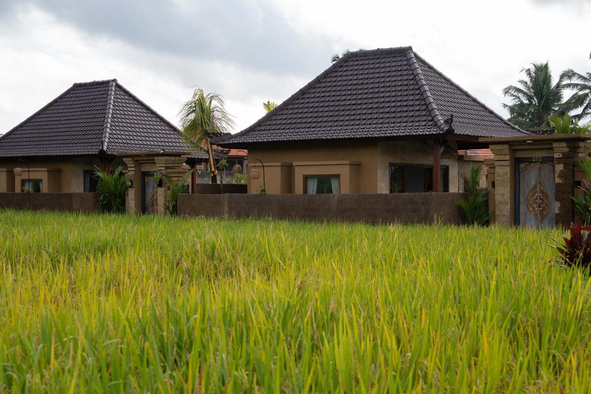 Sawah Sebatu Villa Ubud Eksteriør billede