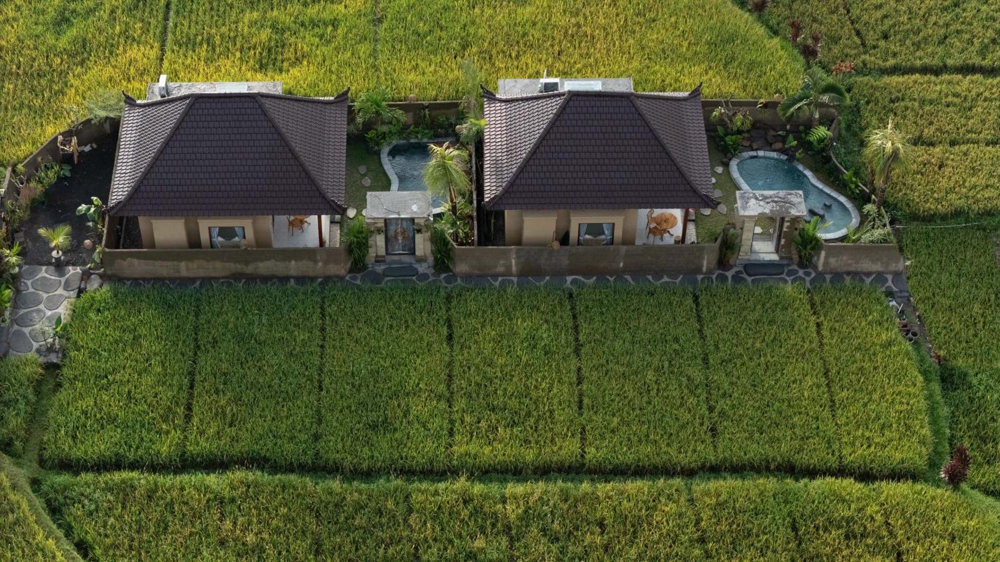 Sawah Sebatu Villa Ubud Eksteriør billede