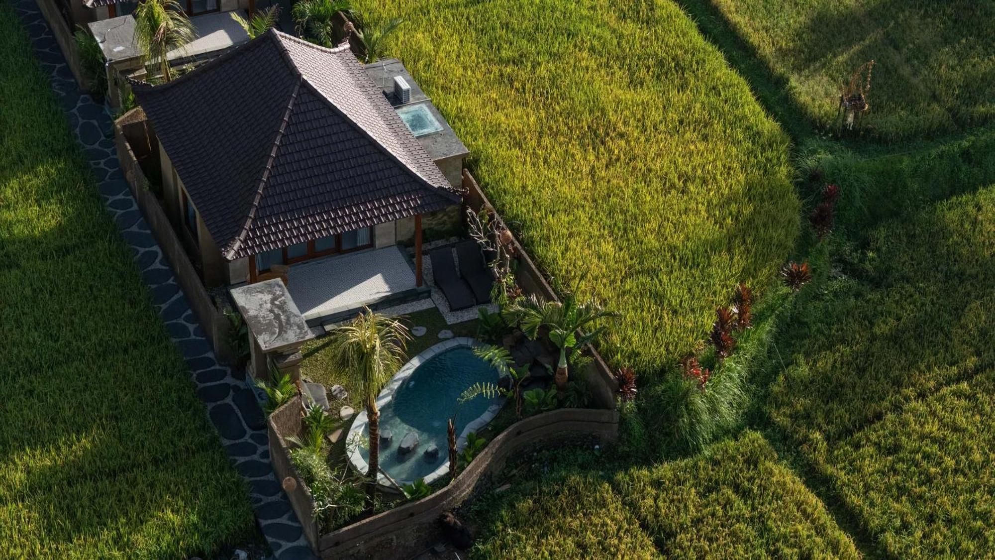 Sawah Sebatu Villa Ubud Eksteriør billede