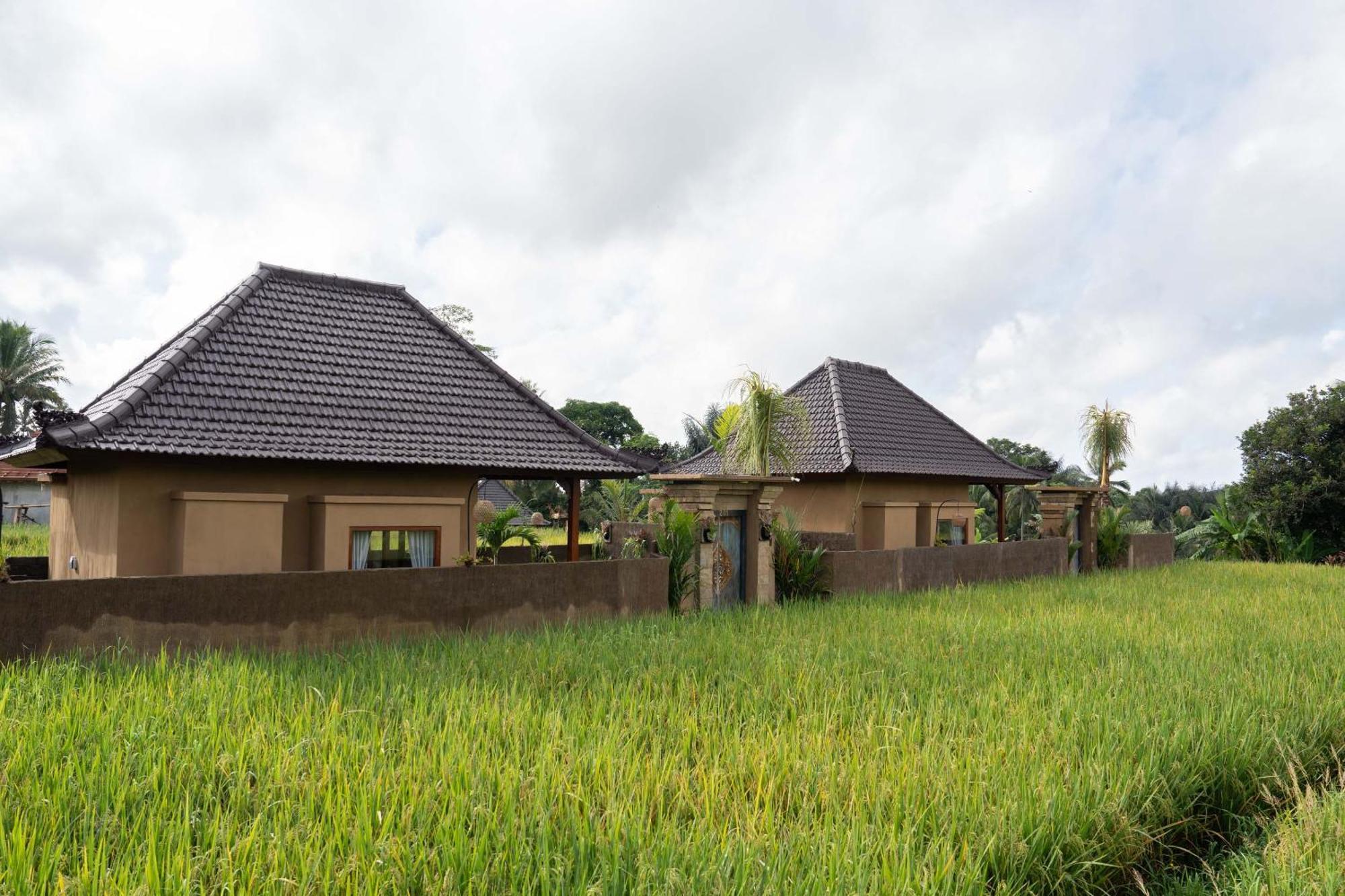 Sawah Sebatu Villa Ubud Eksteriør billede