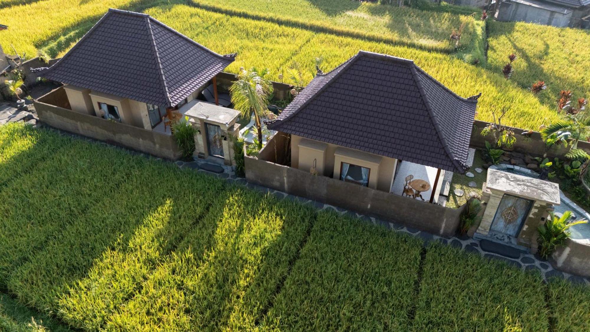 Sawah Sebatu Villa Ubud Eksteriør billede