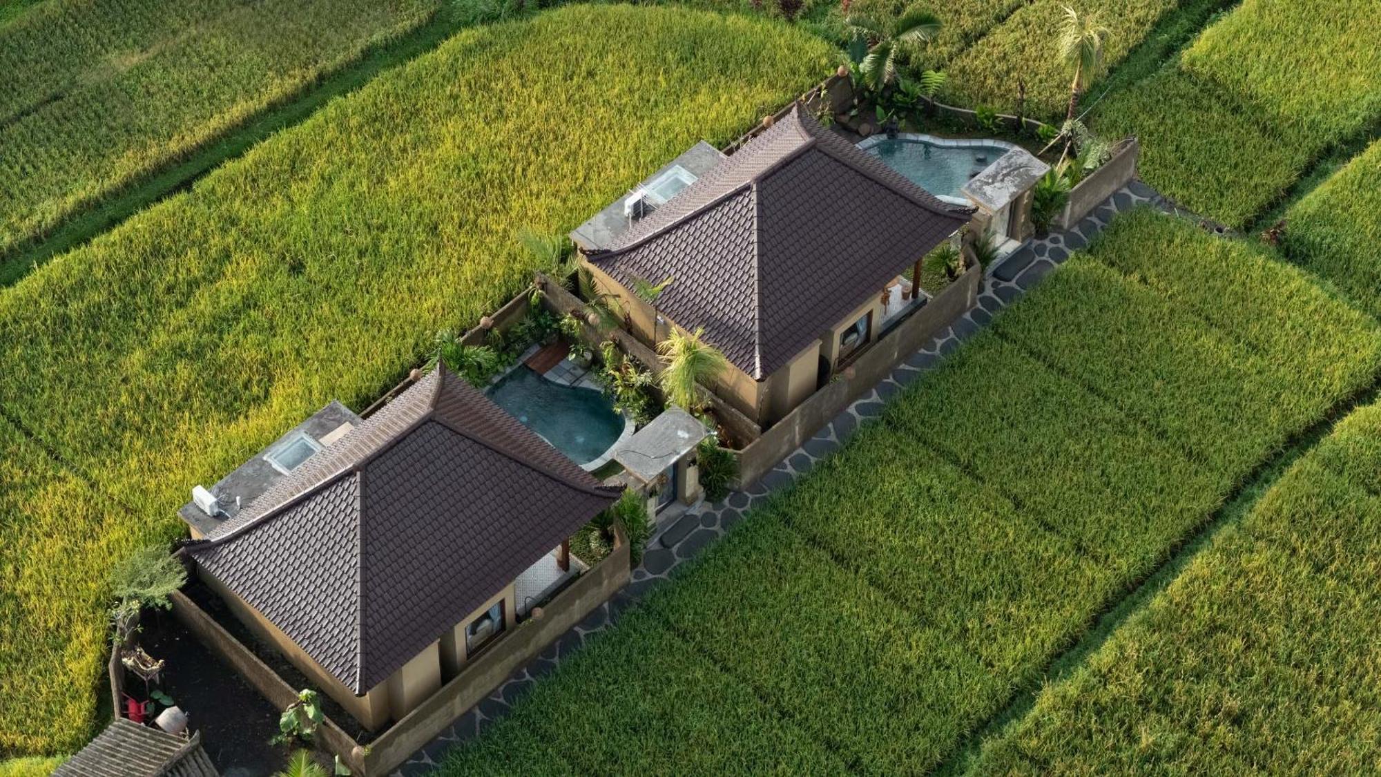 Sawah Sebatu Villa Ubud Eksteriør billede